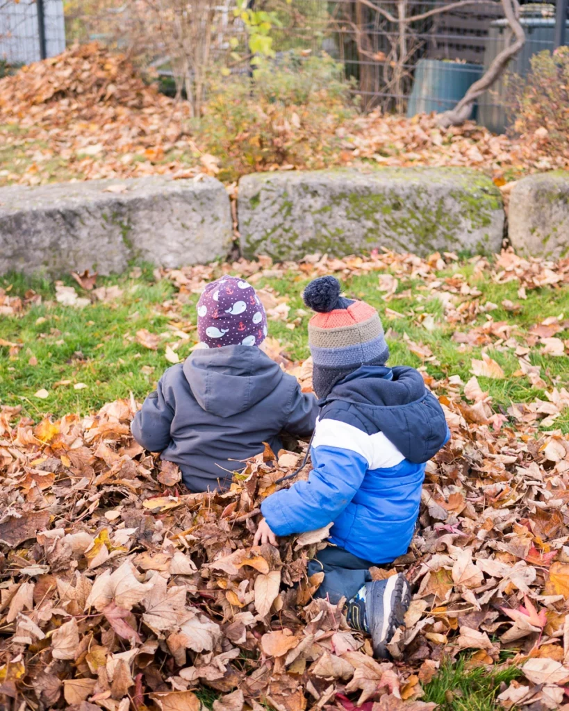Zwei Kinder spielen in Herbstlaub, tragen warme Kleidung und Mützen, im Hintergrund Bäume und ein Steinhaufen.